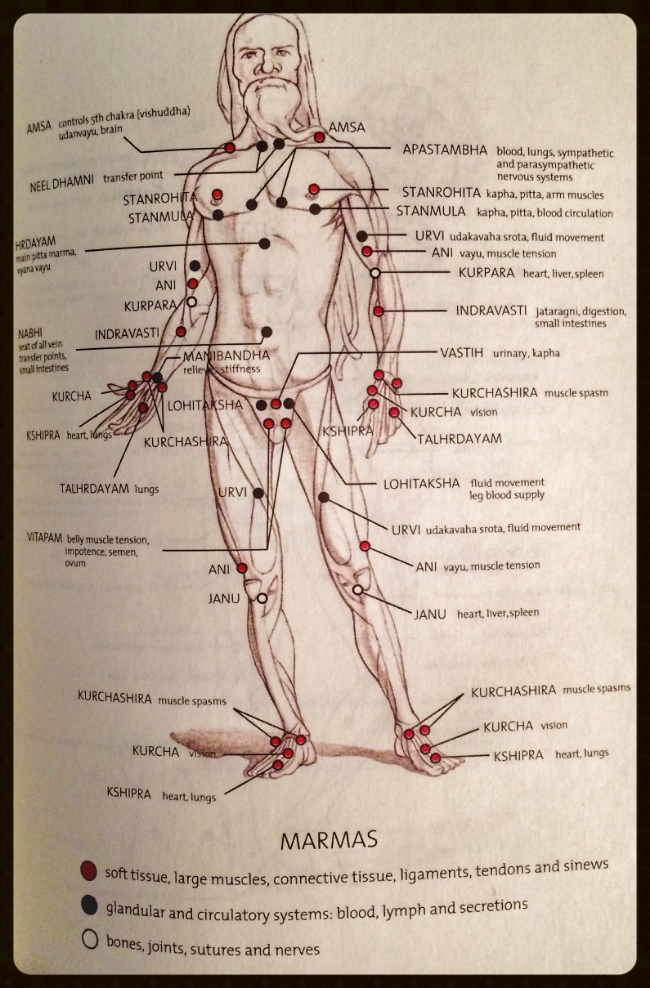 Therapeutic Abhyanga massage treatment