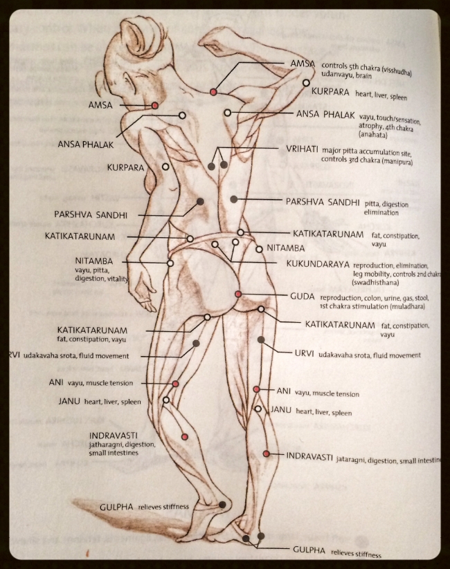 Warm herbal oil used in Shirodhara therapy